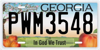 GA license plate PWM3548