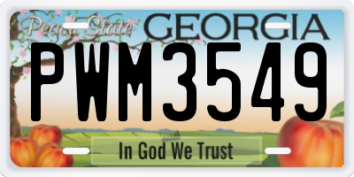 GA license plate PWM3549