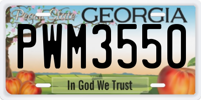 GA license plate PWM3550