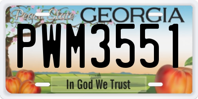 GA license plate PWM3551