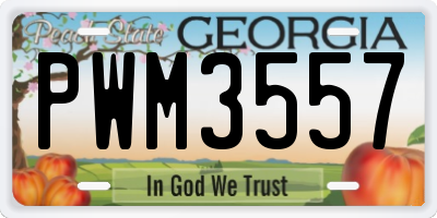 GA license plate PWM3557