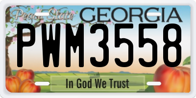 GA license plate PWM3558