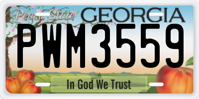 GA license plate PWM3559