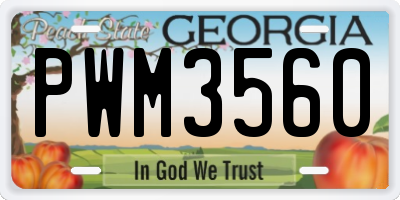GA license plate PWM3560