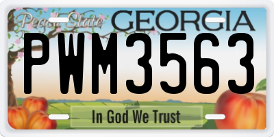 GA license plate PWM3563