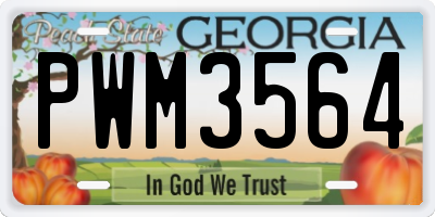 GA license plate PWM3564