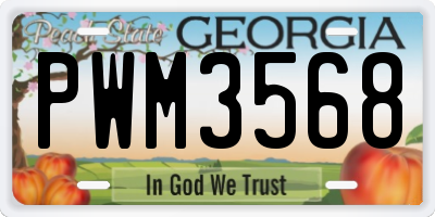 GA license plate PWM3568