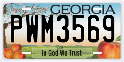 GA license plate PWM3569