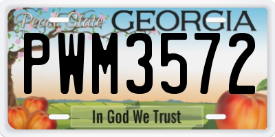 GA license plate PWM3572