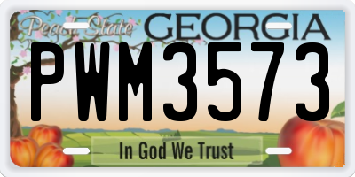 GA license plate PWM3573