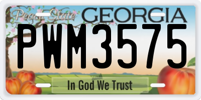 GA license plate PWM3575