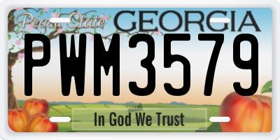 GA license plate PWM3579