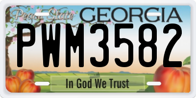 GA license plate PWM3582