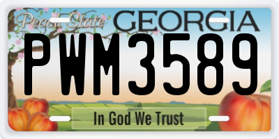 GA license plate PWM3589