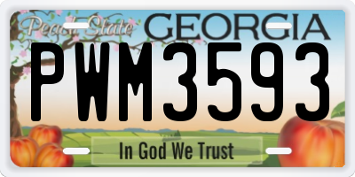 GA license plate PWM3593