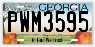 GA license plate PWM3595