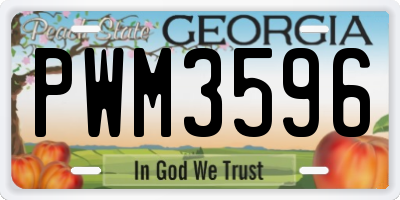 GA license plate PWM3596