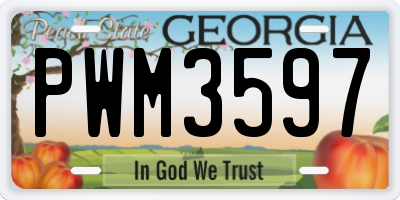 GA license plate PWM3597