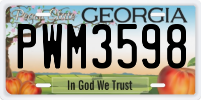 GA license plate PWM3598