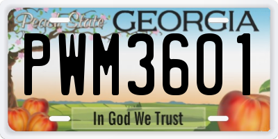 GA license plate PWM3601