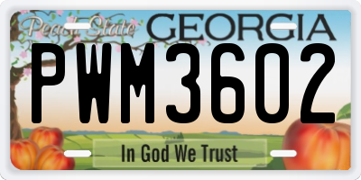 GA license plate PWM3602