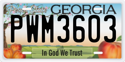 GA license plate PWM3603