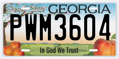 GA license plate PWM3604