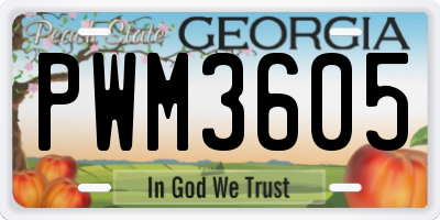 GA license plate PWM3605