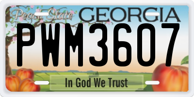 GA license plate PWM3607