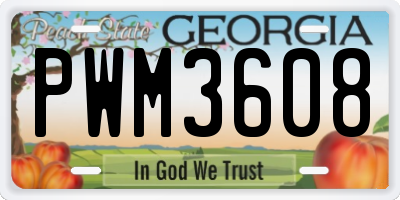 GA license plate PWM3608