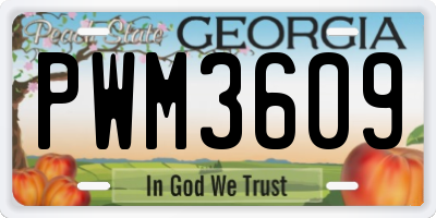 GA license plate PWM3609