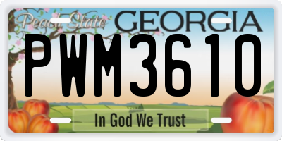 GA license plate PWM3610