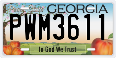 GA license plate PWM3611