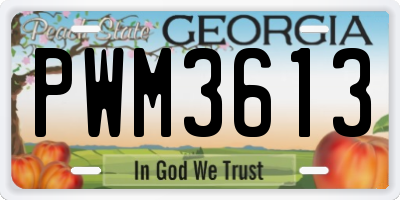 GA license plate PWM3613