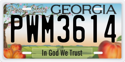 GA license plate PWM3614