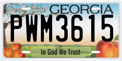 GA license plate PWM3615