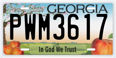 GA license plate PWM3617