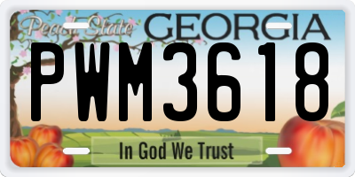 GA license plate PWM3618