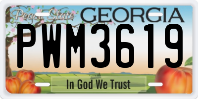 GA license plate PWM3619