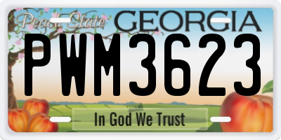 GA license plate PWM3623