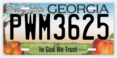 GA license plate PWM3625