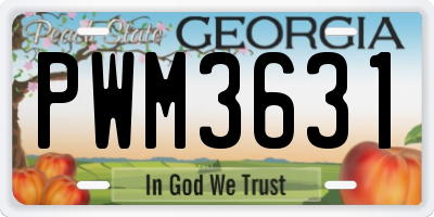 GA license plate PWM3631