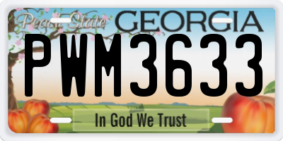 GA license plate PWM3633