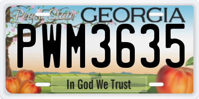 GA license plate PWM3635