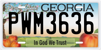 GA license plate PWM3636