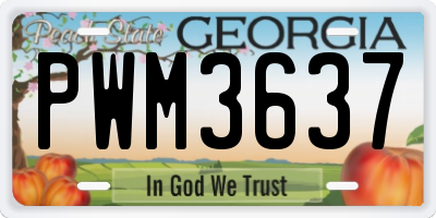 GA license plate PWM3637