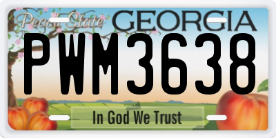 GA license plate PWM3638