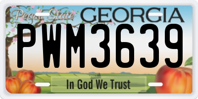 GA license plate PWM3639