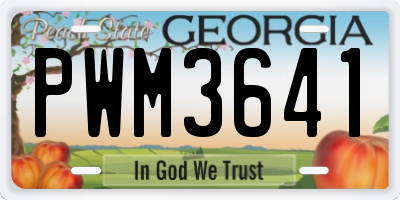 GA license plate PWM3641