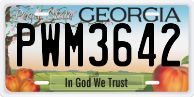 GA license plate PWM3642